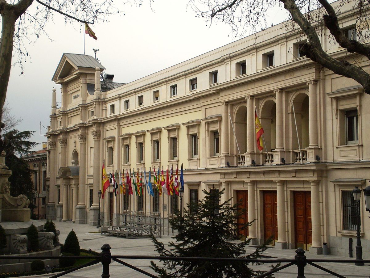 Ir a El Senado inicia los trámites para poner fin a la esterilización forzada de personas con discapacidad