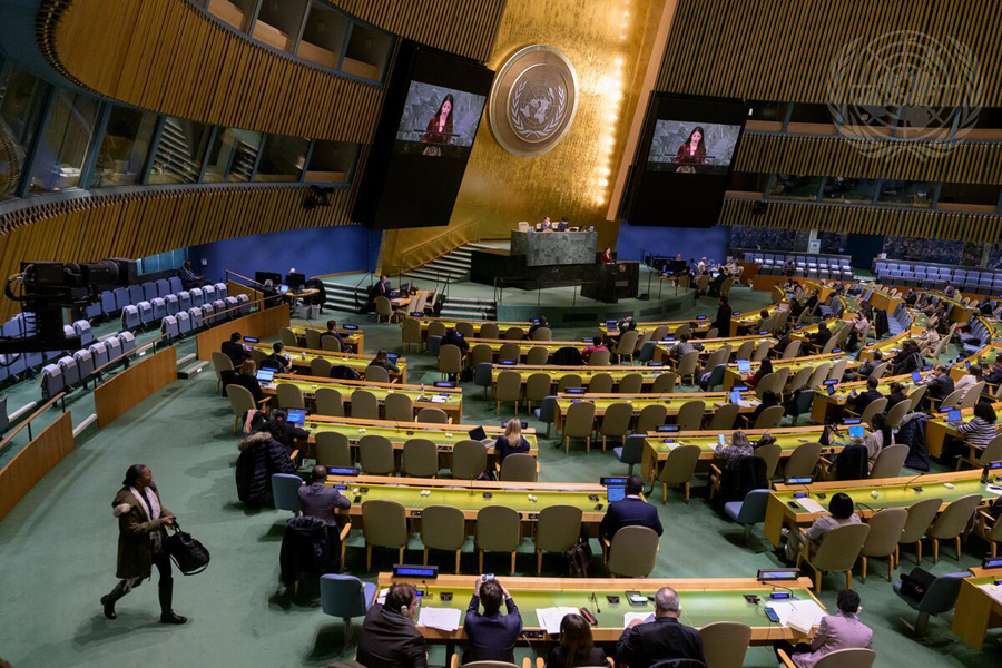 Ir a Naciones Unidas reconoce la importancia del derecho a la accesibilidad cognitiva