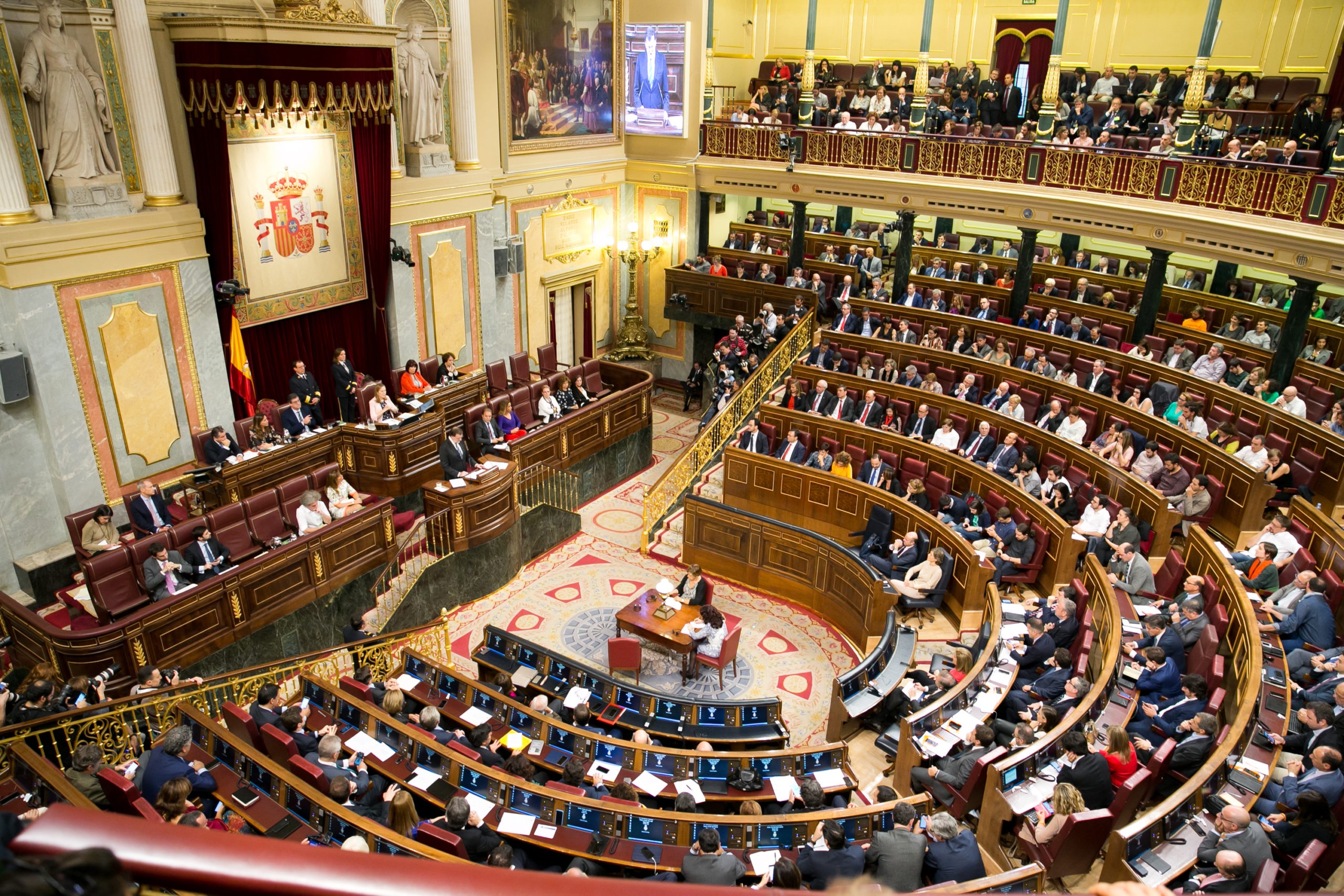 Ir a Plena inclusión propone 16 medidas al nuevo Gobierno para garantizar la igualdad y los derechos de las personas con discapacidad intelectual