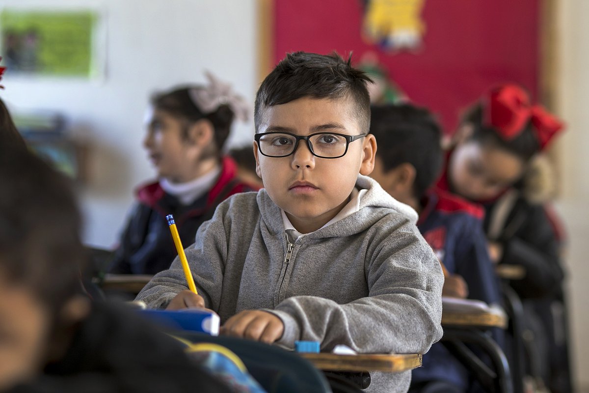 Ir a La opinión de Plena inclusión sobre la educación inclusiva