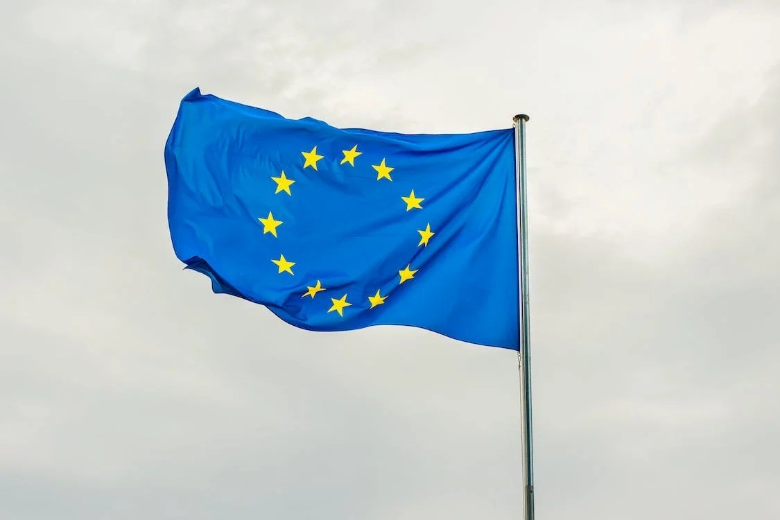 Ir a Europa debe profundizar en la inclusión de las personas con discapacidad intelectual y del desarrollo
